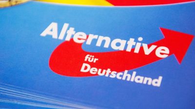 Kamann: AfD will „Deutschland retten” schafft es aber nicht eine Fraktion professionell aufzubauen