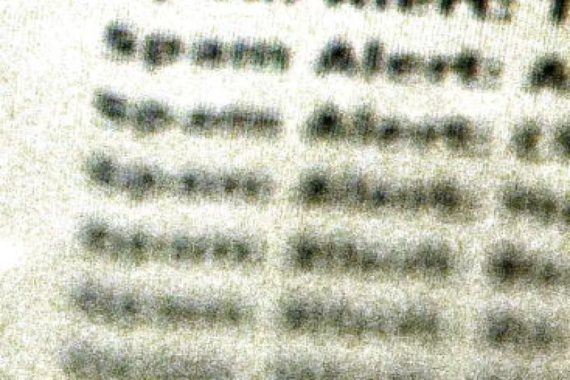 top-article-image