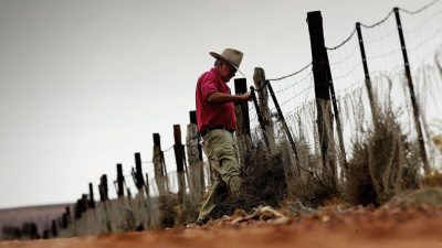 Ein Zaun gegen Wildhunde in Australien