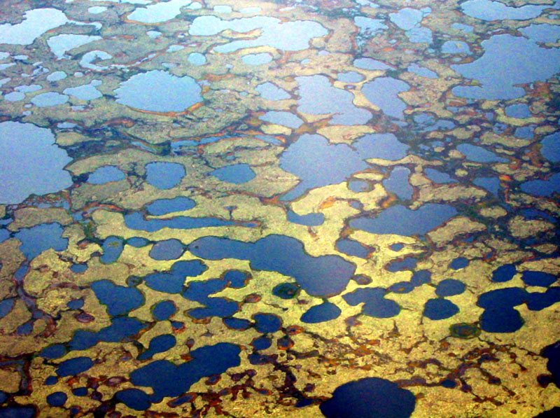 US-Amerikanische Untersuchung über das Phänomen der „Verschwindenden Arktischen Seen“