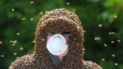 Gescheiterter Weltrekordversuch von Philip McCabe sich einen Bienenbart wachsen zu lassen in Cahir, Co Tipperary, Irland