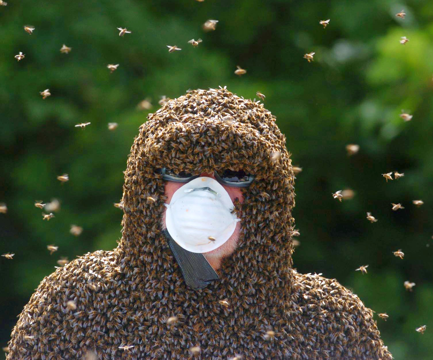 Gescheiterter Weltrekordversuch von Philip McCabe sich einen Bienenbart wachsen zu lassen in Cahir, Co Tipperary, Irland