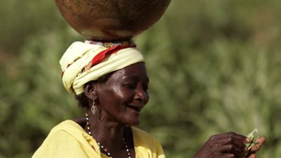 Lebensmittelknappheit in Niger