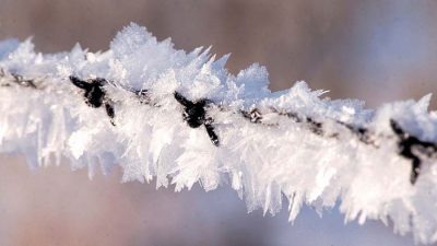 „Hartmut“ bringt strengen Frost nach Deutschland