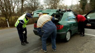 Vogelgrippe erreicht Frankreich – Tests in Indien