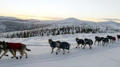 Yukon Quest