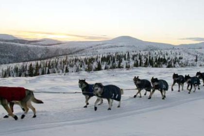 Yukon Quest