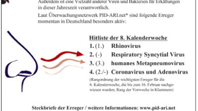 Hitliste der Erkältungs-Erreger – 8. Kalenderwoche