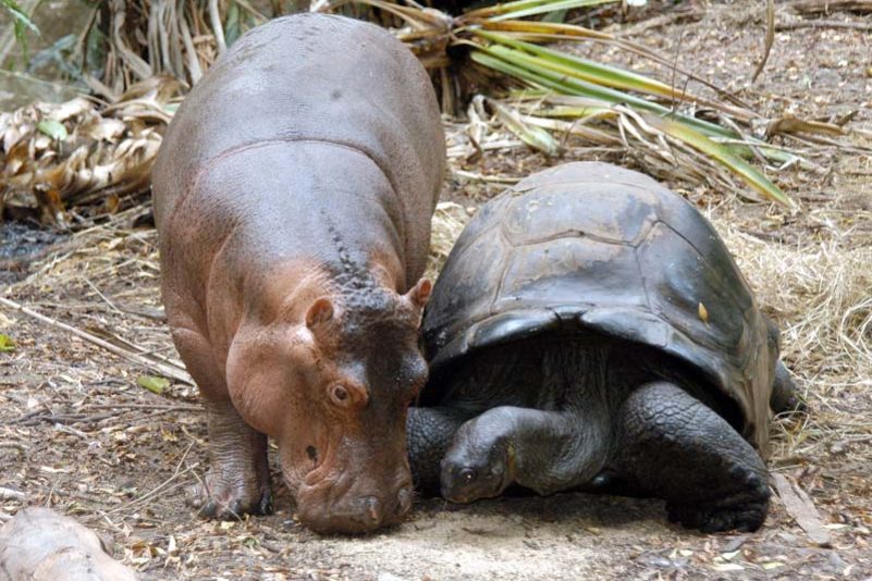Mutter und Sohn