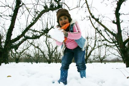 Winter Wonderland