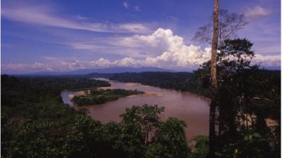 Yachana: „Ort des Lernens“ im ecuadorianischen Regenwald