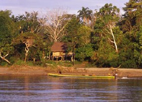 Pfahlhaus am Río Napo (Foto - Dr. Jutta Ulmer und Dr. Michael Wolfsteiner)