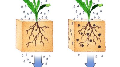 Für Windeln und Wüsten – Deutscher Chemiker entwickelt speziellen Wasserspeicher