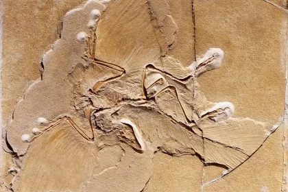 post-image