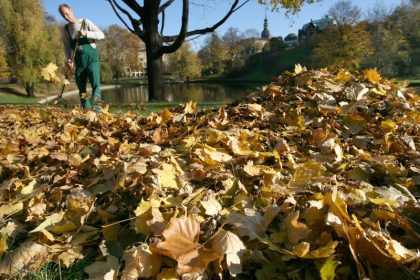 Freundlicher Herbst