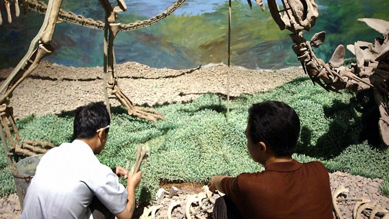 Riesiges Dinosauriergrab in Asien entdeckt