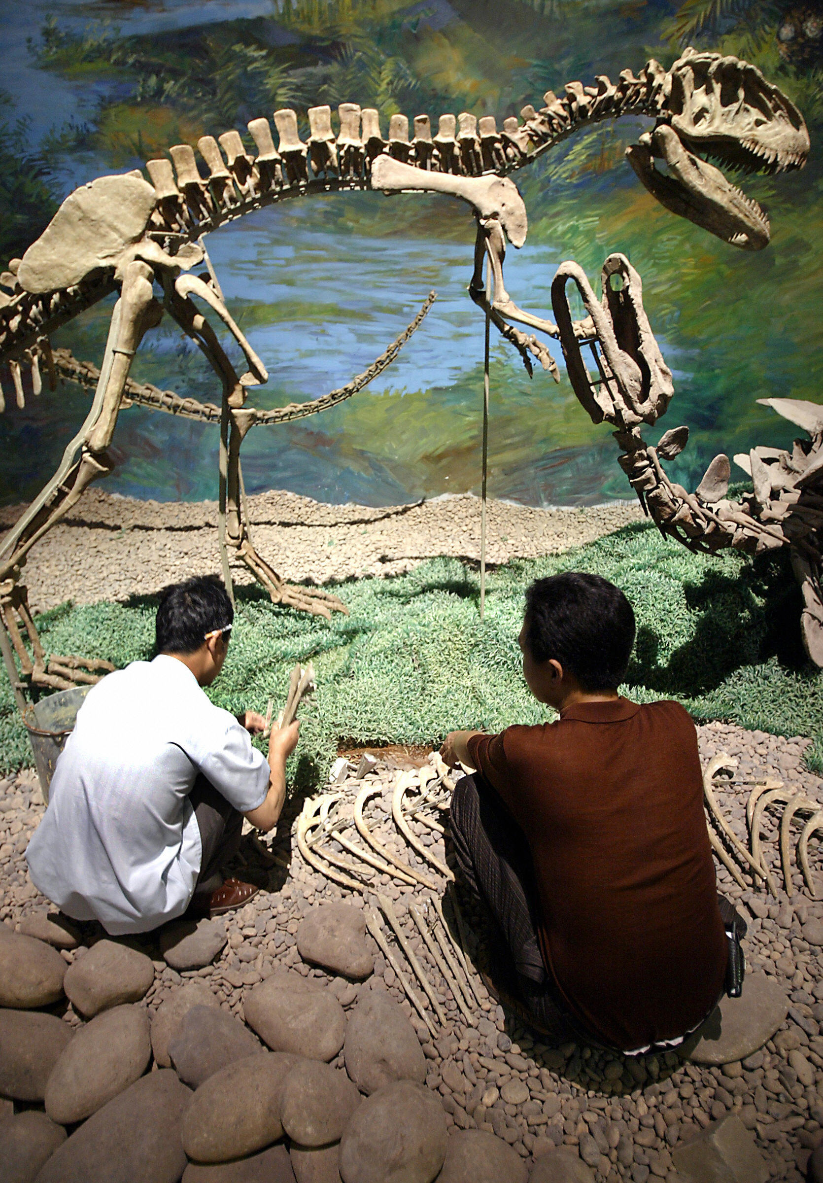 Riesiges Dinosauriergrab in Asien entdeckt