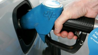 Bioethanol als Benzinersatz: „Deutschland liegt voll im Trend“