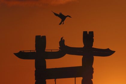 Bei Sonnenuntergang