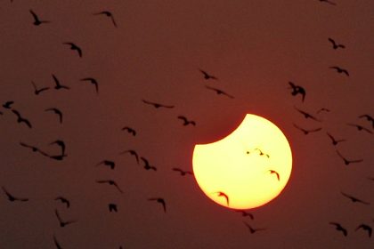 Ein Stück von der Sonne