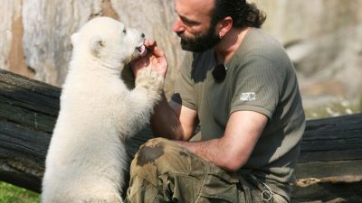 Bizarre Wirklichkeiten – Deutschland im Zeichen des Kleinen Eisbären