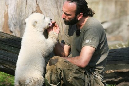 Bizarre Wirklichkeiten – Deutschland im Zeichen des Kleinen Eisbären