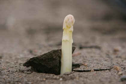 Durchbruch
