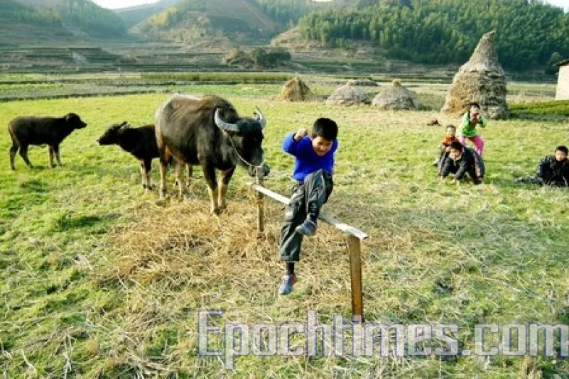top-article-image