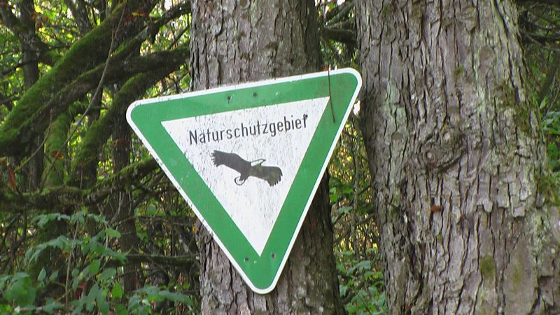 Verwaltungsgericht entscheidet: Naturschutzgebiet „Ruhlsdorfer Bruch“ bleibt frei von Genmais