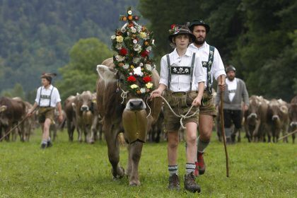 Almabtrieb