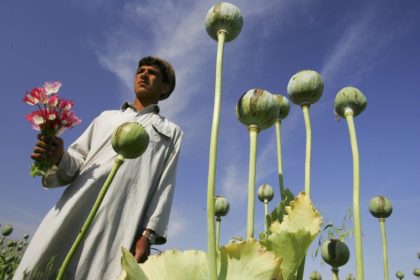 Das Afghanische Dreieck
