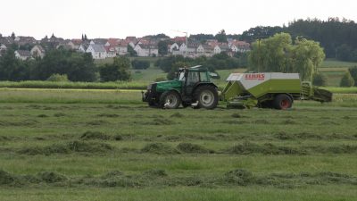 Trotz EU-Vorgaben: Subventions-Umverteilung in deutscher Landwirtschaft nicht erfolgt