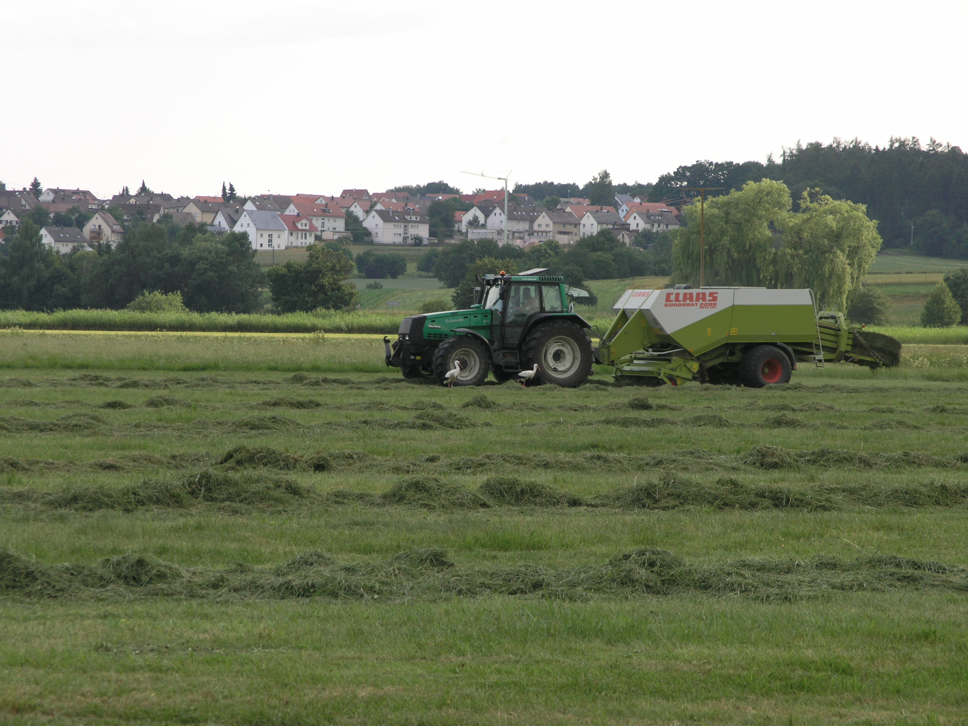 Trotz EU-Vorgaben: Subventions-Umverteilung in deutscher Landwirtschaft nicht erfolgt