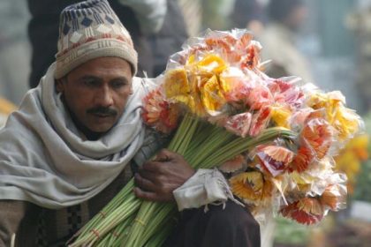 Blumen schenken Freude