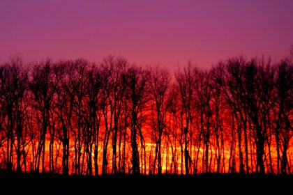 Wintersonnenuntergang