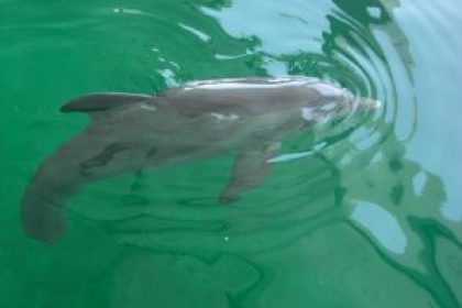 La nature à Clearwater : votre premier choix