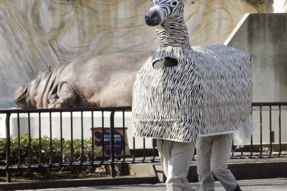 Gefälschtes Zebra