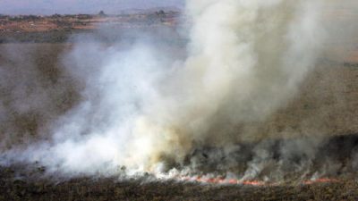 In Brasilien stirbt der Regenwald