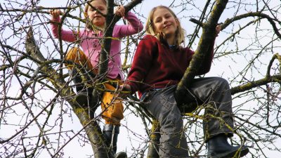 Insektizide auf Kinderköpfen