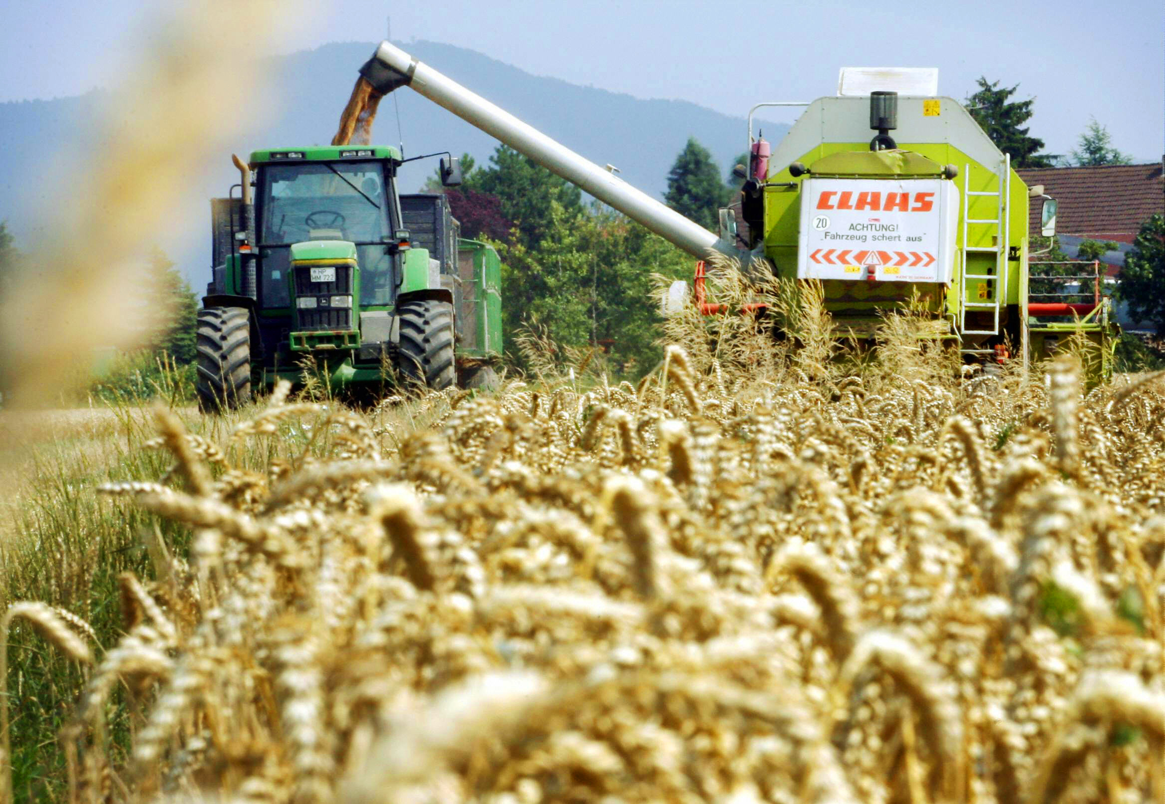 Bauernverband: Landwirte ernten weniger Getreide als 2015