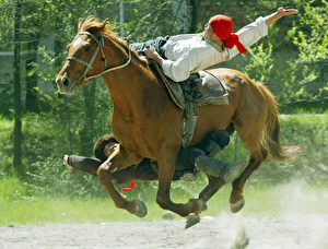 Reiterakrobatik der Kirgisen. (Vyacheslav Oseledko/AFP/Getty Images)