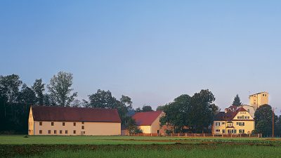 Heimische Beeren im Trend