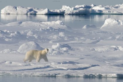 Begegnungen am Nordpolarkreis