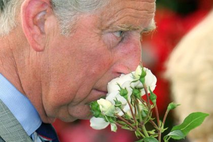Augenblicke seiner Königlichen Hoheit