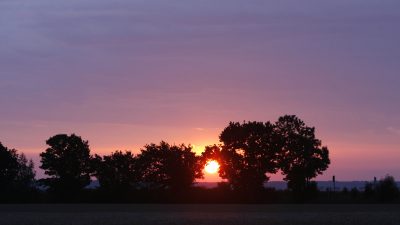 Rheinländischer Morgen