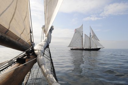 Es kommt mit dem Wind …