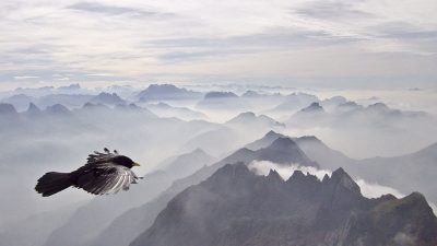 Über den Wolken…