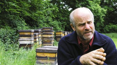 Der Bienenmeister