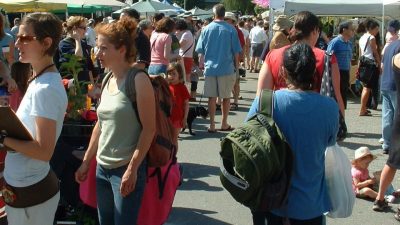 Bauernmärkte erobern die Massen