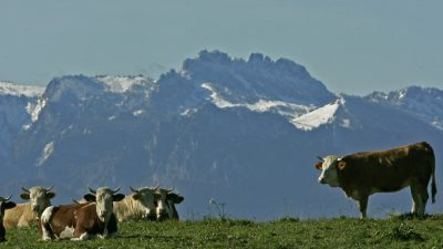 Strahlender Herbsthimmel